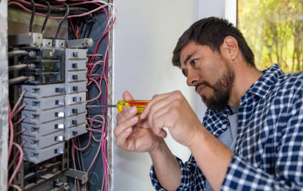 Best Electric Panel Repair  in Alb, IA